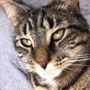 Meet your Posher, Zoey